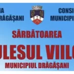 Zilele Culesului de Vii Dragasani 2024 data concerte