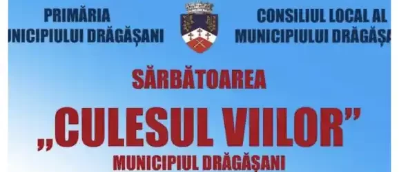 Zilele Culesului de Vii Dragasani 2024 data concerte