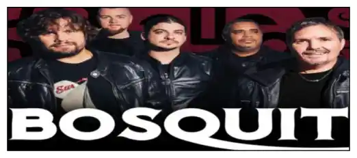 Brasov Concert Bosquito