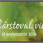 Program Cârstovul Viilor 2024