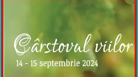 Program Cârstovul Viilor 2024
