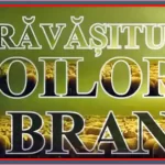 program festivalul răvășitul oilor bran 2024 concerte