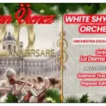 CRĂCIUN VIENEZ ANIVERSAR 20 de ani 2024 Alba Iulia