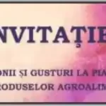 Festivalul Armonii și gusturi la Pianu 2024