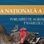 program Expoziția Națională de Porumbei de Agrement și Voiajor 2024 Romexpo