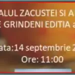 program Festivalul zacuștei și a silvoitei de Grindeni
