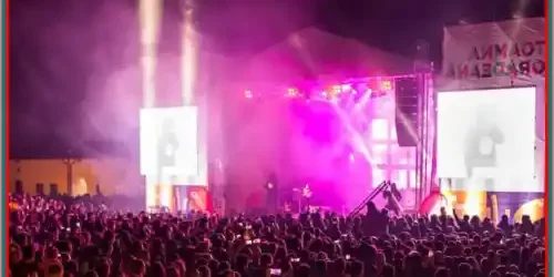 program Oradea Festifall 2024 concerte și artiști