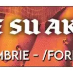 bilete Concert Gaye su Akyol Form Space Cluj 2024