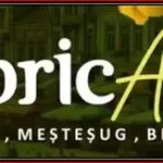 program fabricart timișoara 2024