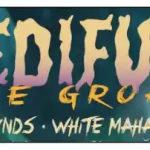 program medifun de groaza 2024