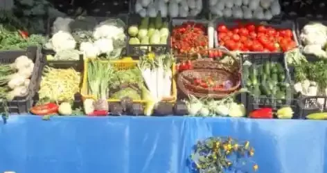 program târgul de toamnă câmpina noiembrie 2024