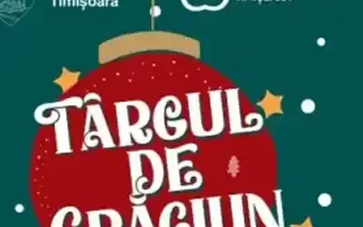 targul de crăciun timișoara 2024 cine cantă la revelion