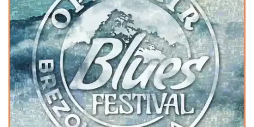 Program Open Air Blues Festival Brezoi 2025 cine cântă line-up