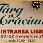 Târg de Crăciun 2024 la Muzeul Ţăranului Român intrare liberă