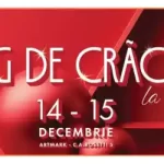 Târg de Crăciun la Palat 2024 ArtMark