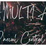 concerte revelion 2025 fieni în aer liber