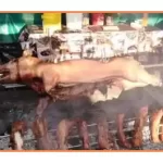 program zilele veverițelor Buziaș 2025 cine canta