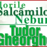 concert FLORILE SALCÂMILOR NEBUNI Tudor Gheorghe 2025
