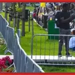 program Festivalul florilor West Side Flower Fest 2025