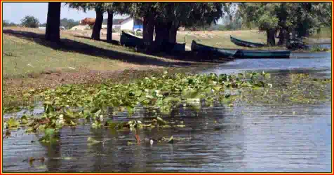 program ziua Dunării 2025 Tulcea