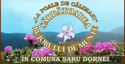 Sărbătoarea Bujorului de Munte la Șaru Dornei 2025 program activități