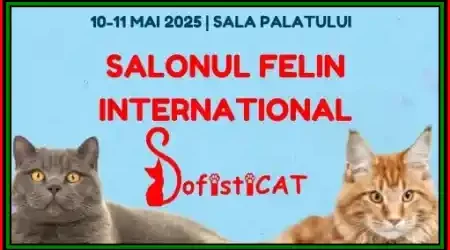 SofistiCAT Salonul Felin mai 2025 program