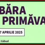 Tabăra de primăvară la Schitul Sfântul Ioan Evanghelistul de la Găbud aprilie 2025