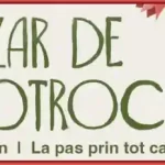 Bazar de Cotroceni 2025 când este și ce poți face