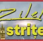 Program Zilele Orașului Bistrița 2025 artiști concerte