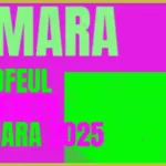 trofeul tinereții amara 2025 regulament câștigători premii