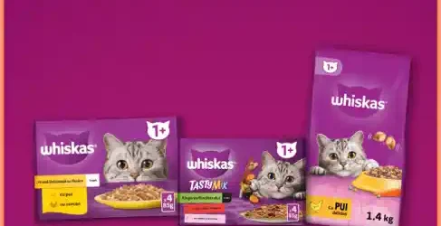 Câștigători Concurs Whiskas 2025 Hrană de Pisici pentru 1 an