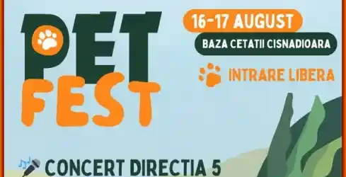 Pet Fest 2025 concert Direcția 5