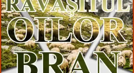 Program concerte Festivalul Brânzei și al Pastramei Răvășitul Oilor 2025