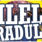 zilele aradului 2025 program concerte artiști