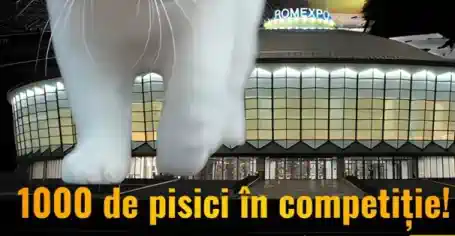 Campionatul Mondial de Frumusete al Pisicilor Romexpo 2025