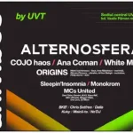 Lineup Univibes 2025 Occupy the University Timișoara