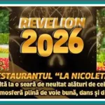 Petrecere de Revelion 2026 Restaurant La Nicoleta Băbeni Vâlcea