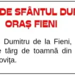 Târgul Bâlciul de Sf. Dumitru 2025 Fieni