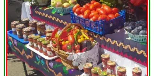 Zilele Comunei Moara și Ziua Recoltei 2025 program artistic