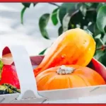 Zilele Recoltei Râmnicu Vâlcea 2025 program concerte