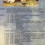 program festivalul sarmalelor salonta 2025