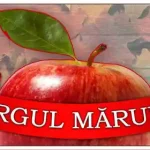 program târgul mărului 2025 fălticeni