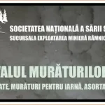 Festivalul Murăturilor 2025 Salina Ocnele Mari program