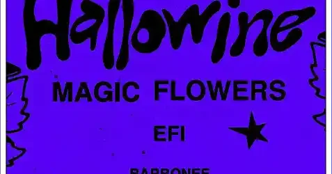 HalloWINE 2025 Domeniu Strehan prețuri lineup