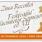 Program Ziua Recoltei DEJ 2025 și Festivalul Plăcintelor Someșene