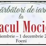 Târg de Crăciun 2025 Conacul Mocioni