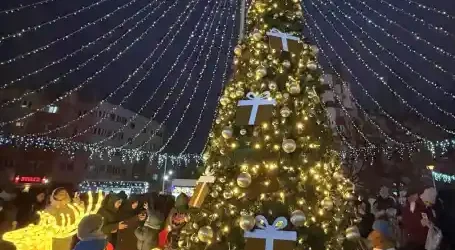 program concerte târgul de crăciun năvodari 2025