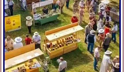 Târgul Apicol Arad 2026 cand se deschide