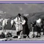 Program Târgul de Fete Muntele Găina 2026 dată locație concerte