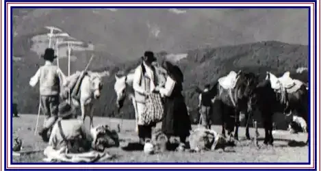 Program Târgul de Fete Muntele Găina 2026 dată locație concerte